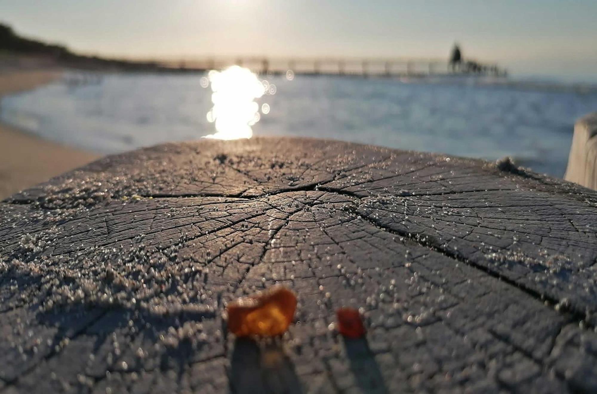 Meeresbrise Im Ostseeheilbad Zingst Exteriör bild