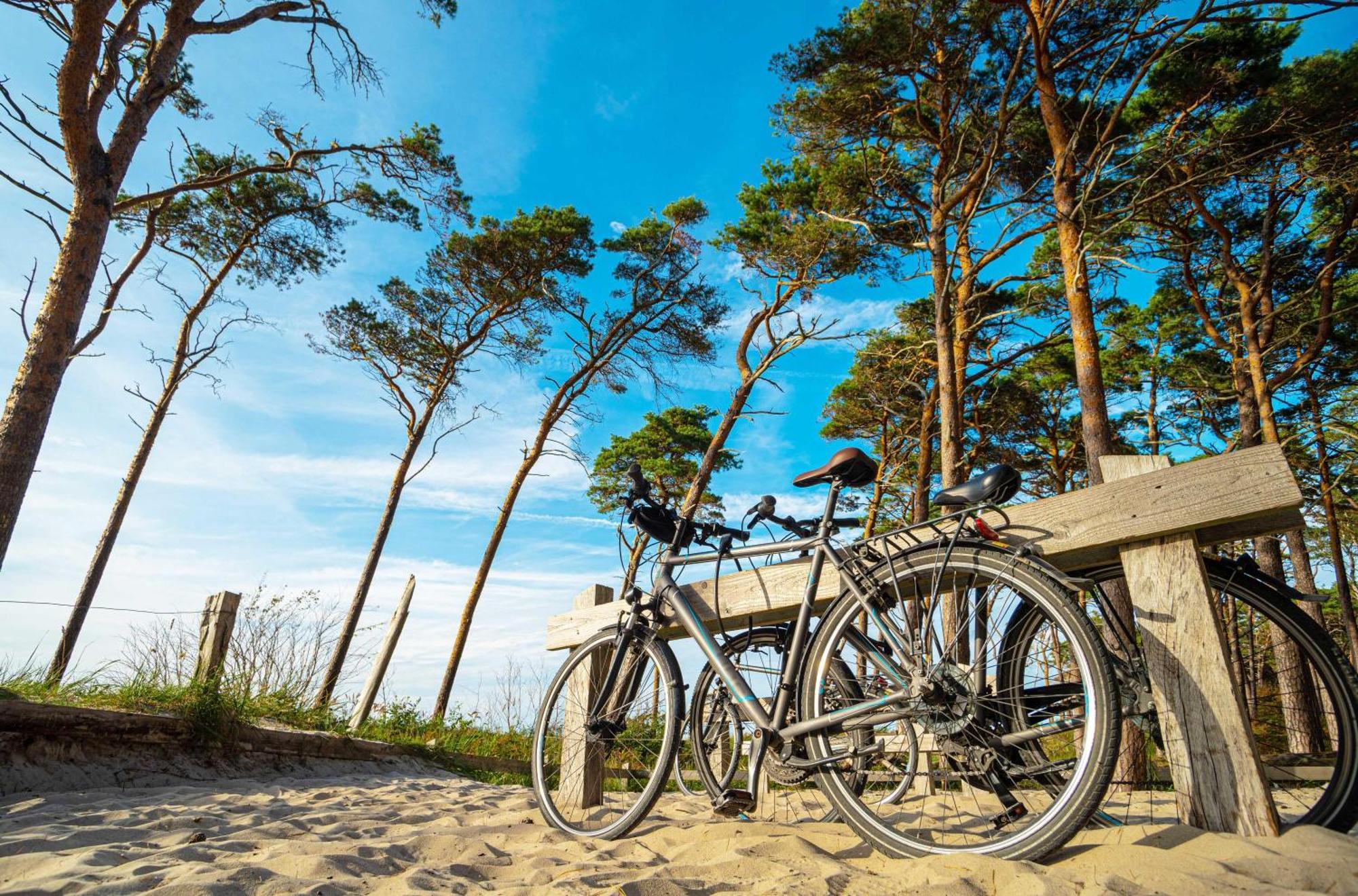 Meeresbrise Im Ostseeheilbad Zingst Exteriör bild